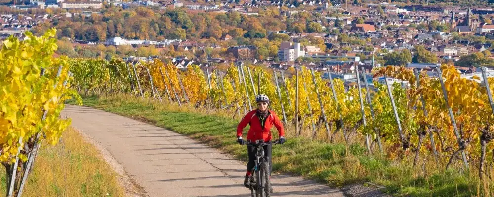 Steuerberater in Baden-Württemberg werden