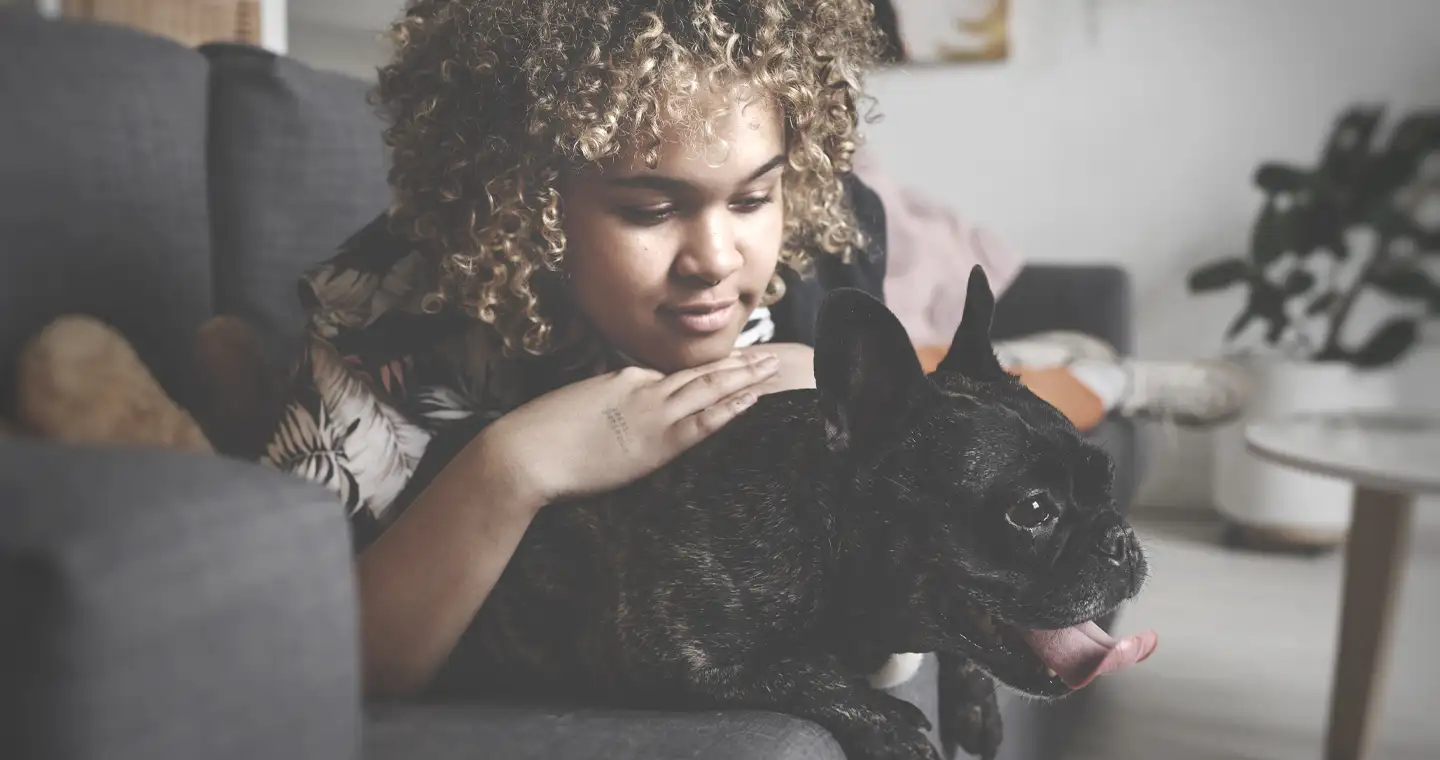 Zertifikat Hundeernährungsberater Ausbildung: Anbieter & Kurse'