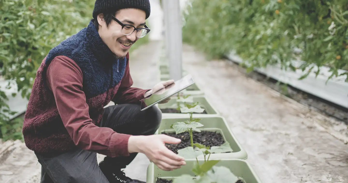 Bachelor Ökologische Landwirtschaft: Hochschulen & Studiengänge