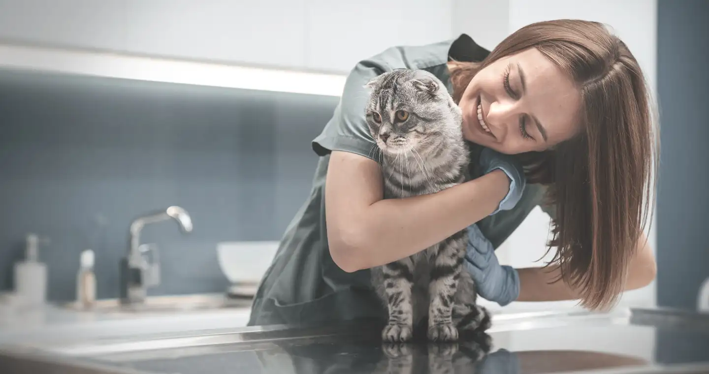 Tierernährungsberater Ausbildung in Hamburg: Anbieter & Kurse