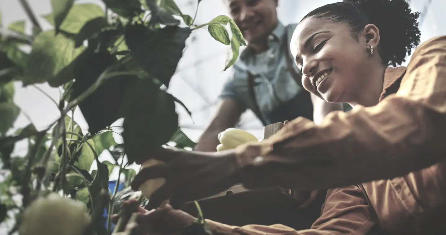 Zertifikat Ayurveda Ernährungsberater Ausbildung: Anbieter & Kurse'