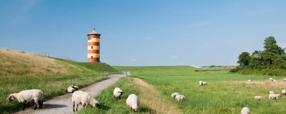 Steuerberater in Niedersachsen werden